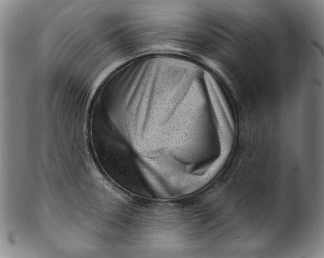 X0000099971331200806061620