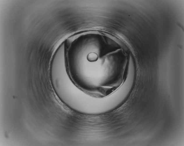 X0000099971332200806061621