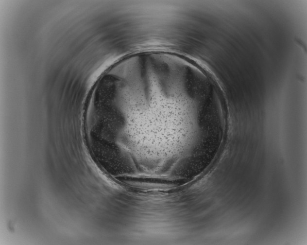 X0000099971333200806061621