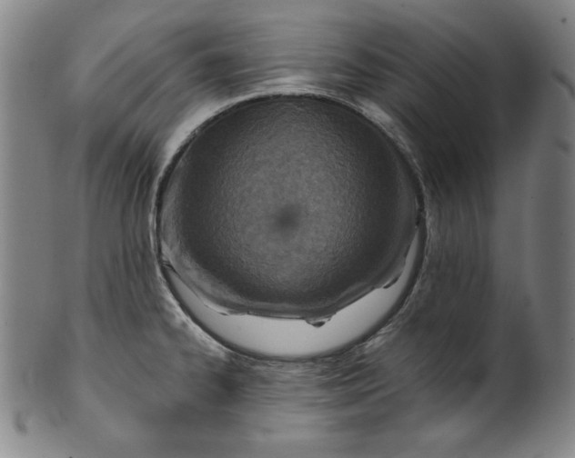 X0000099971334200806061621