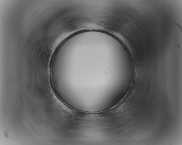 X0000099971335200806061621