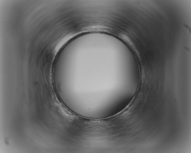 X0000099971336200806061621