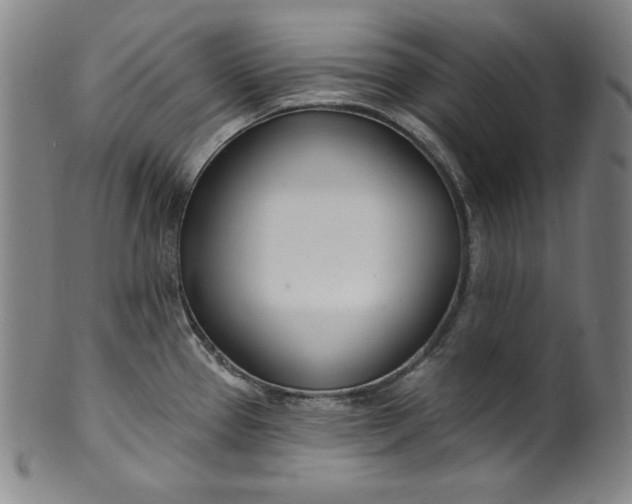 X0000099971337200806061621