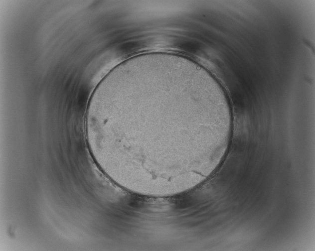 X0000099971338200806061621