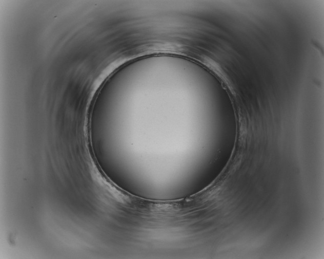 X0000099971339200806061621