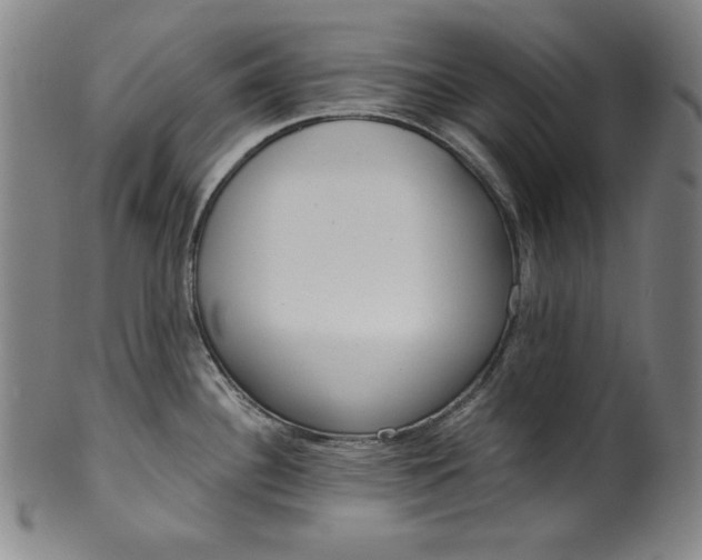 X0000099971340200806061621