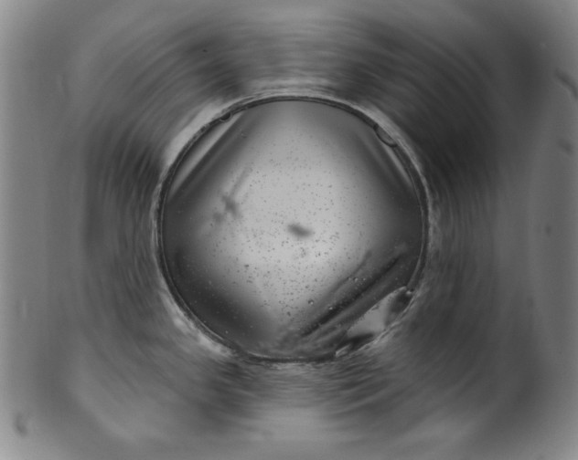 X0000099971341200806061621