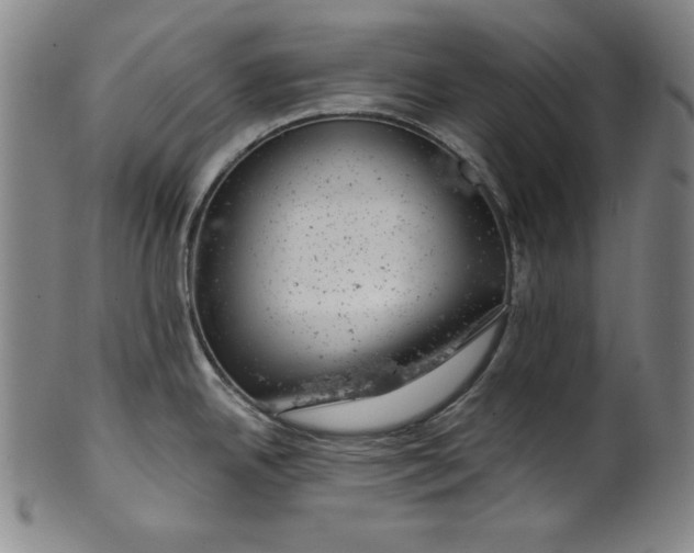 X0000099971342200806061621