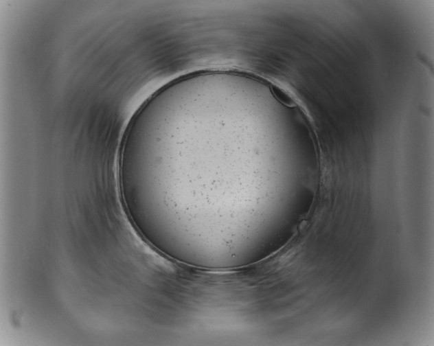 X0000099971343200806061621