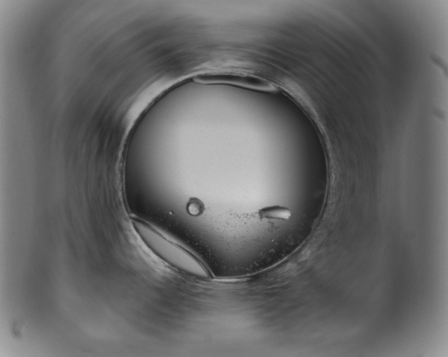 X0000099971344200806061621