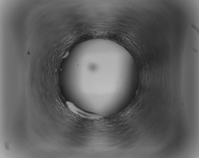 X0000099971345200806061620