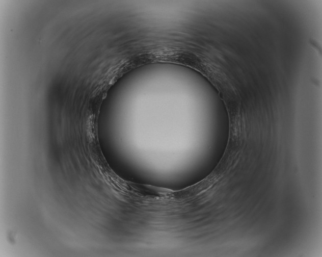 X0000099971346200806061620