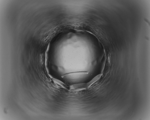 X0000099971347200806061620