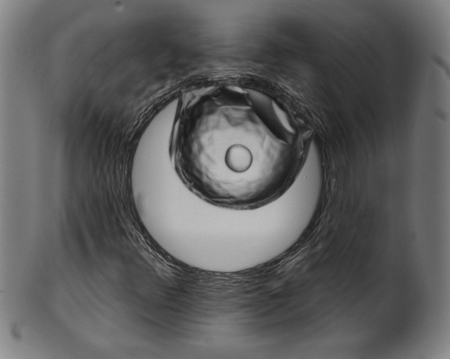 X0000099971348200806061620