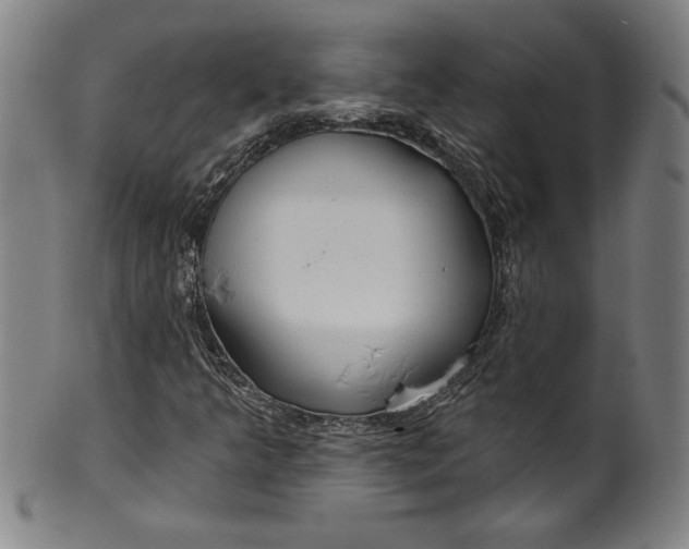 X0000099971349200806061620