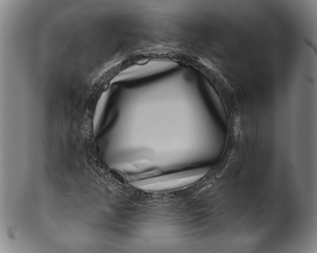 X0000099971350200806061620