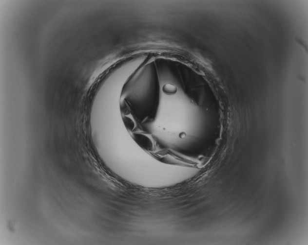 X0000099971352200806061620