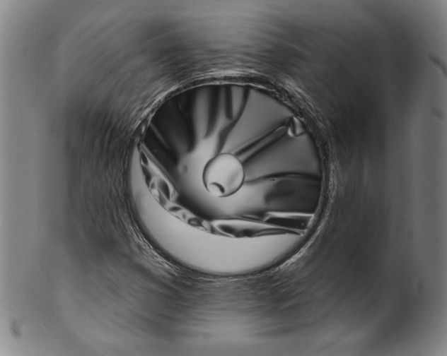 X0000099971353200806061620