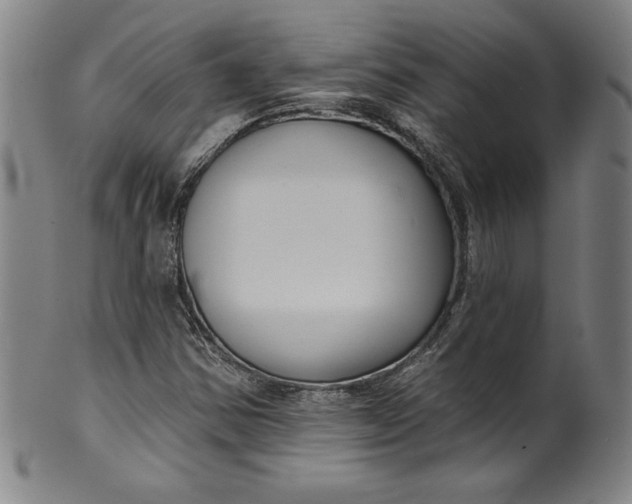 X0000099971354200806061620