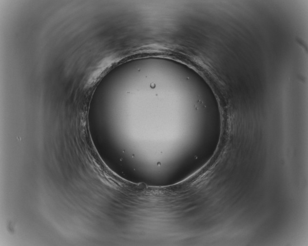 X0000099971355200806061620