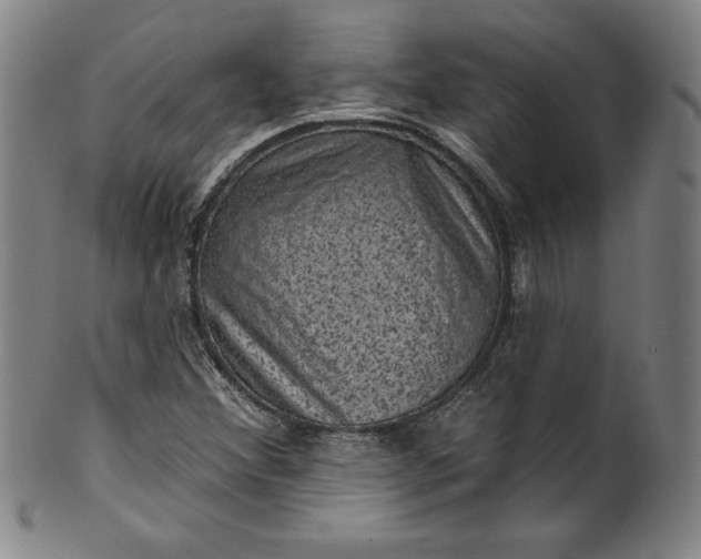 X0000099971356200806061620