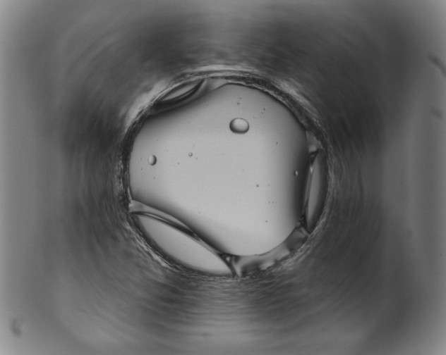 X0000099971357200806061620