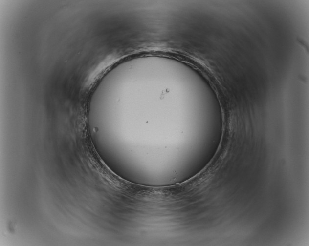 X0000099971359200806061620