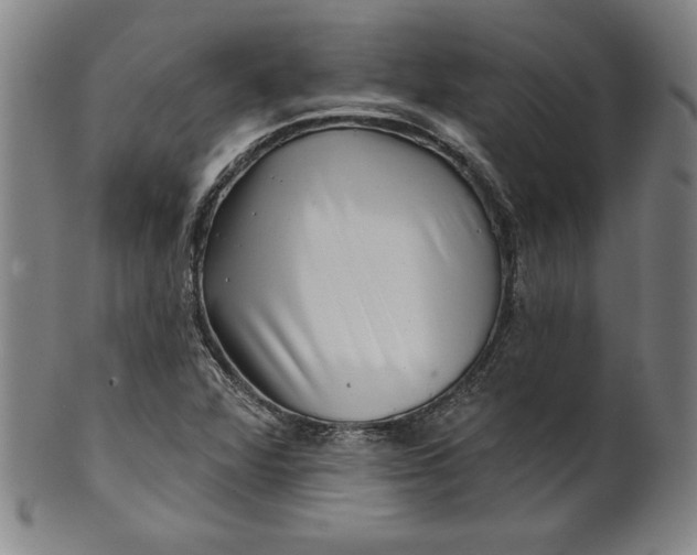 X0000099971360200806061620