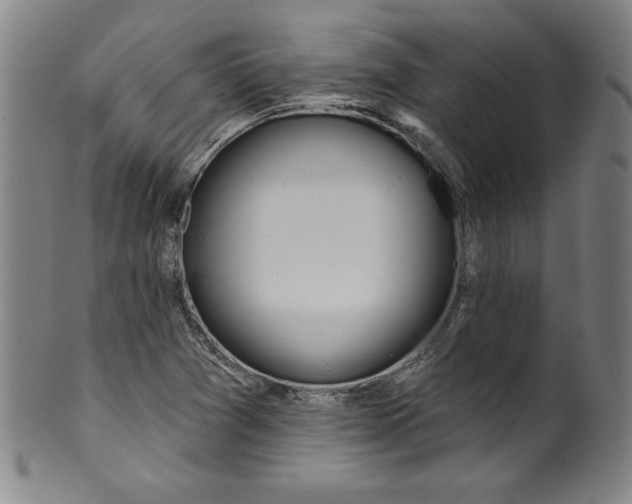 X0000099971361200806061620