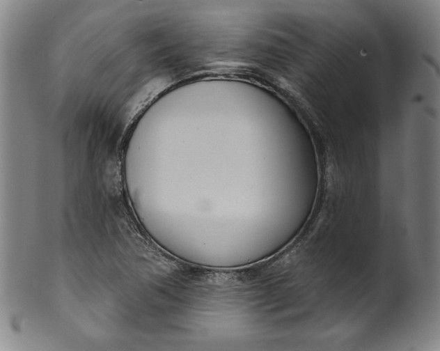 X0000099971362200806061620