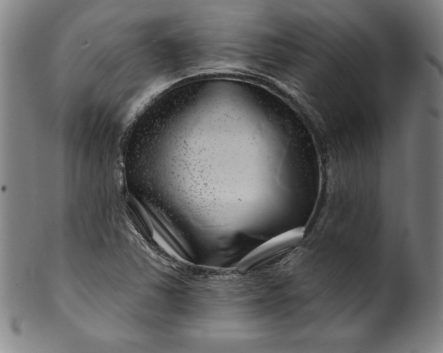 X0000099971363200806061620