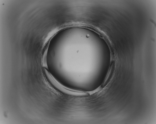 X0000099971365200806061620