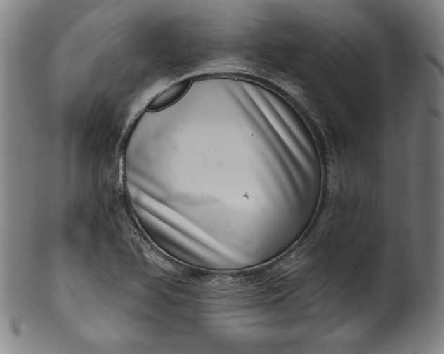 X0000099971366200806061620