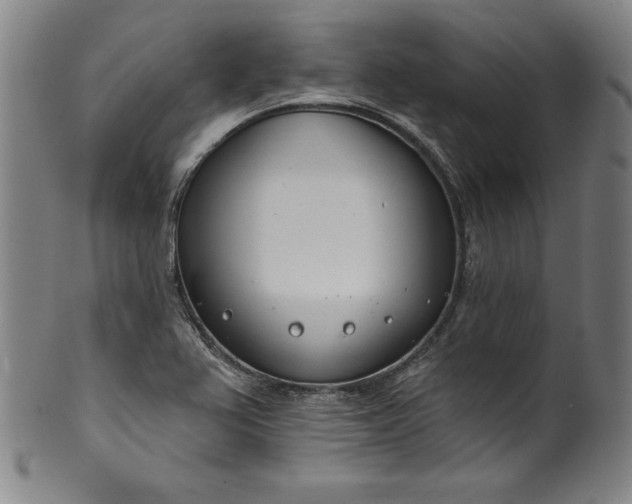 X0000099971367200806061619