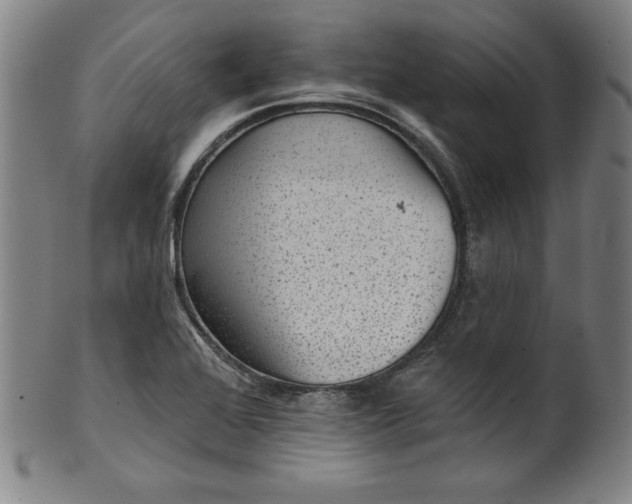 X0000099971368200806061619