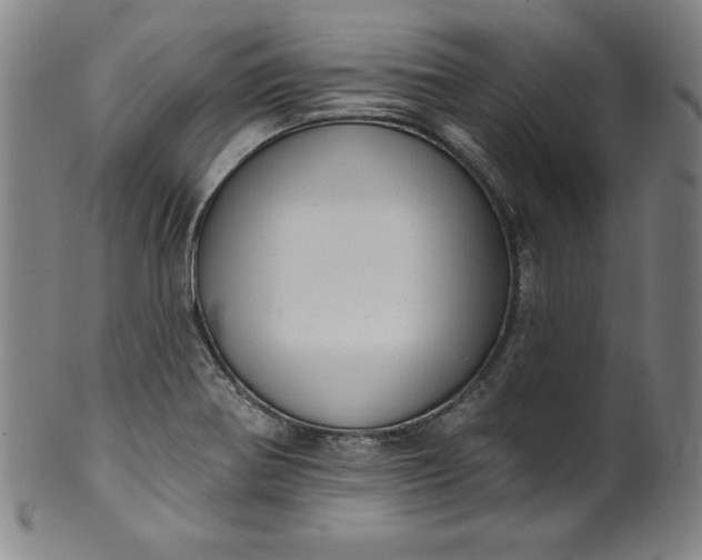 X0000099971370200806061619