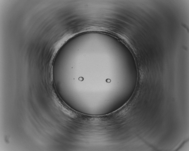 X0000099971371200806061619