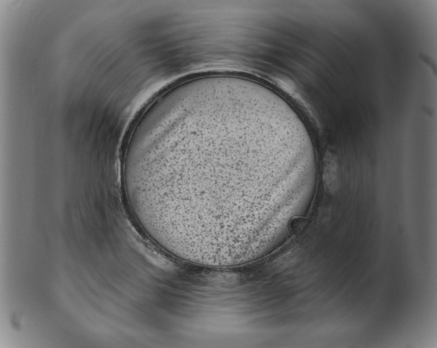 X0000099971372200806061619