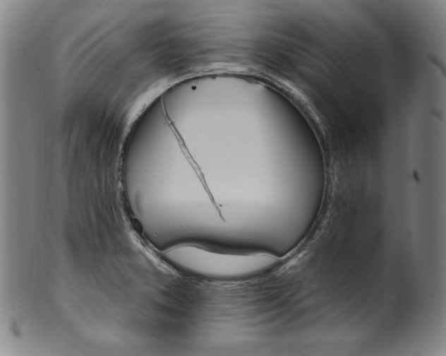 X0000099971373200806061619