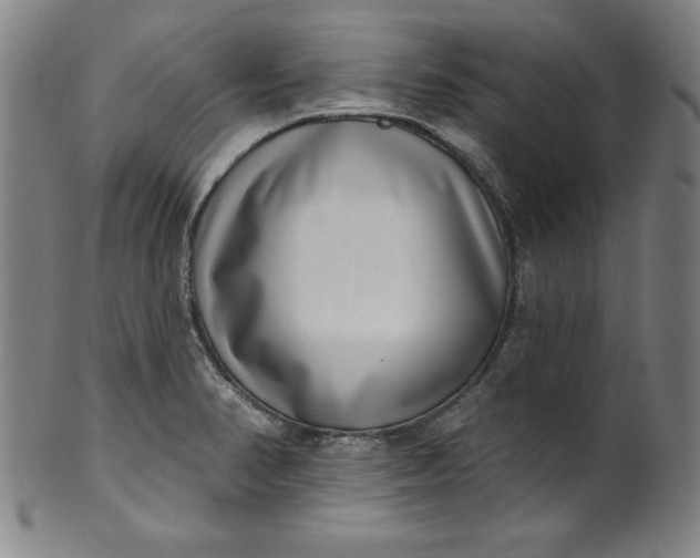 X0000099971374200806061619