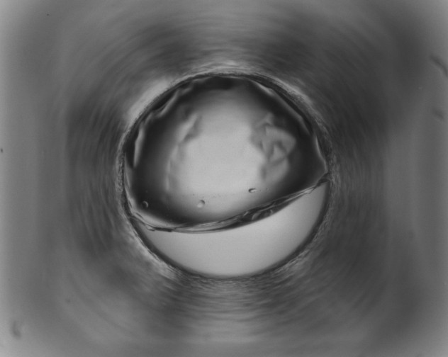 X0000099971375200806061619