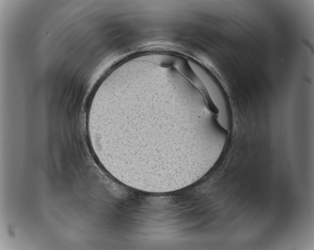 X0000099971376200806061619