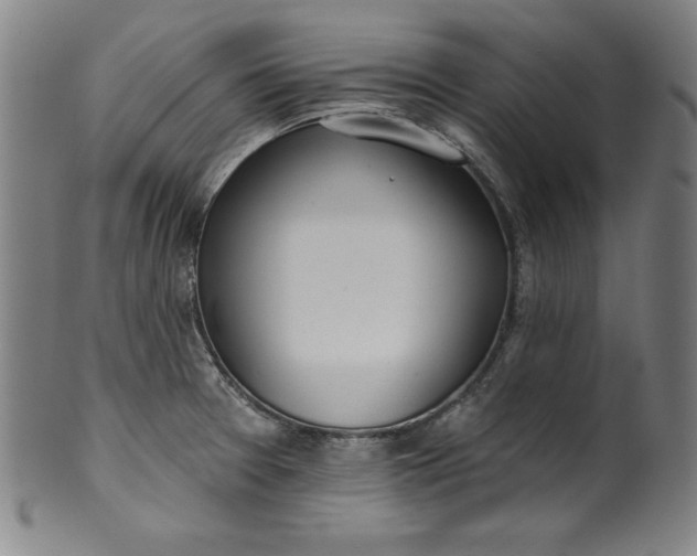 X0000099971377200806061619