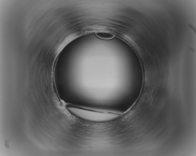 X0000099971378200806061619