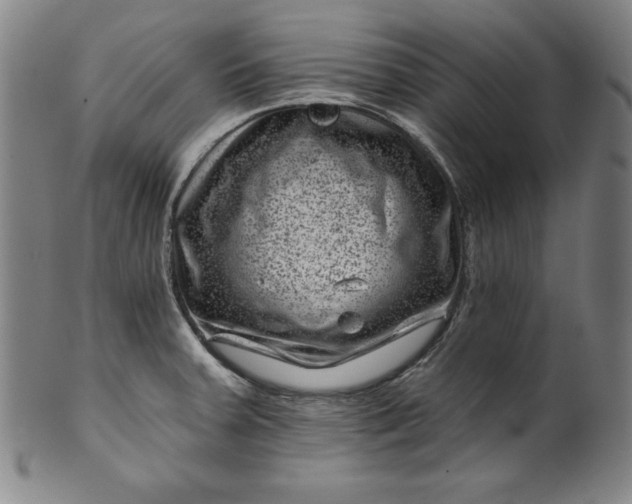 X0000099971379200806061619