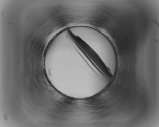 X0000099971380200806061619