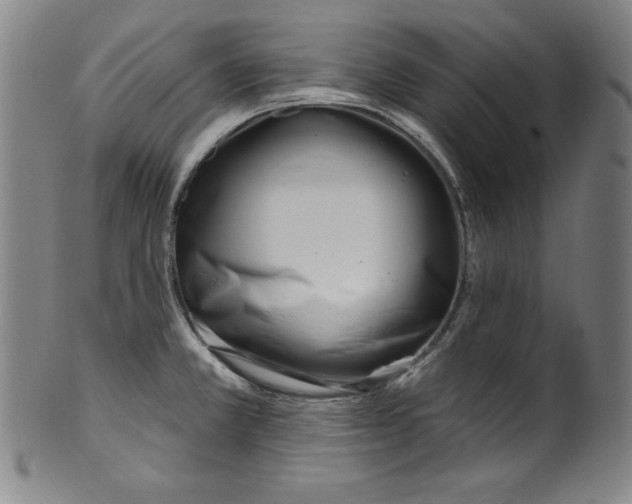 X0000099971381200806061619