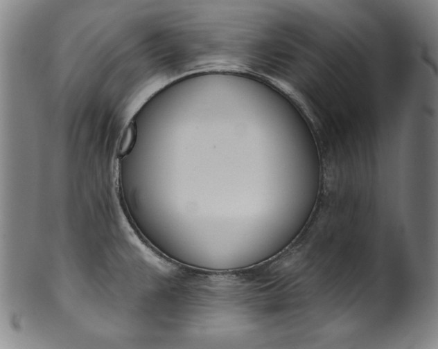 X0000099971383200806061619