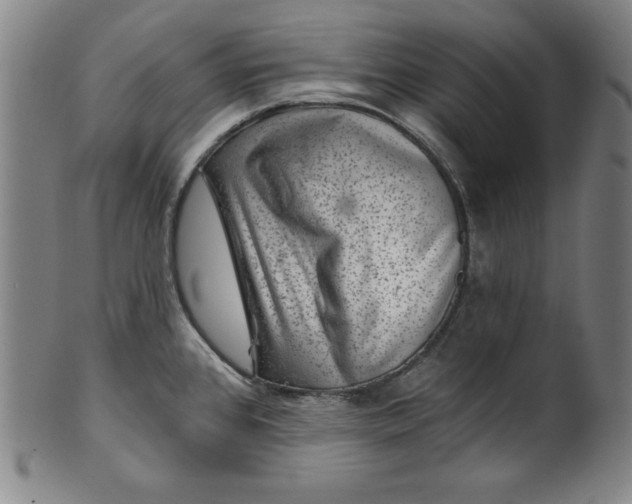 X0000099971384200806061619