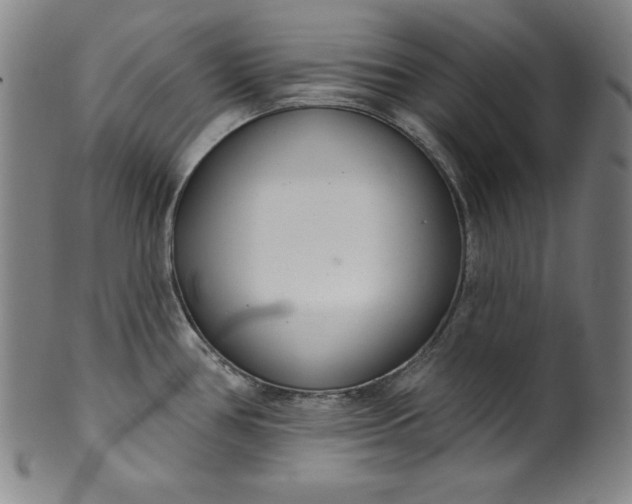 X0000099971386200806061619